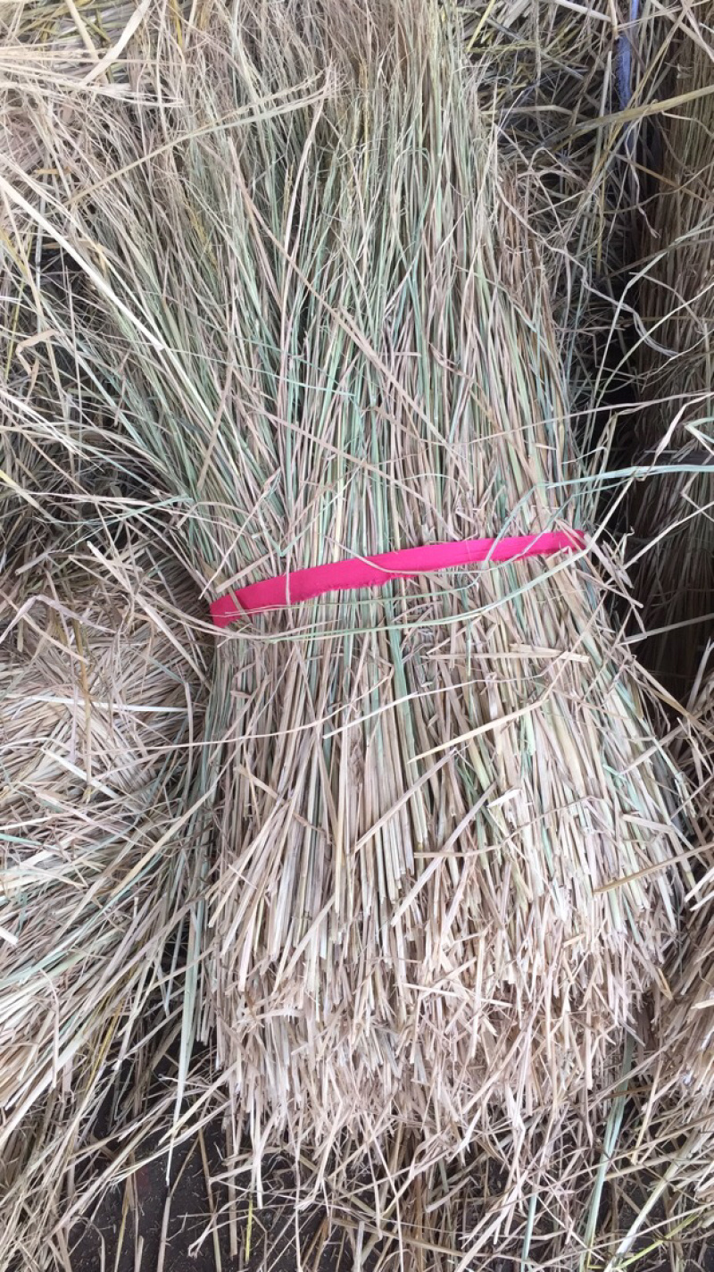 稻草