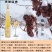 威代尔冰葡萄酒1件4瓶礼盒精装佩戴4个开酒器