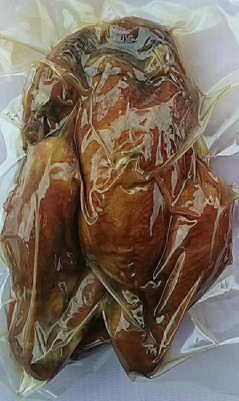 德州麻油鸡厂价直销量大从优