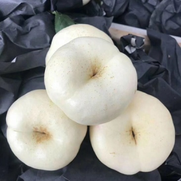 蜜桃白蟠桃油蟠桃蟠桃奶油蟠桃蒙阴蜜桃白桃一件代发