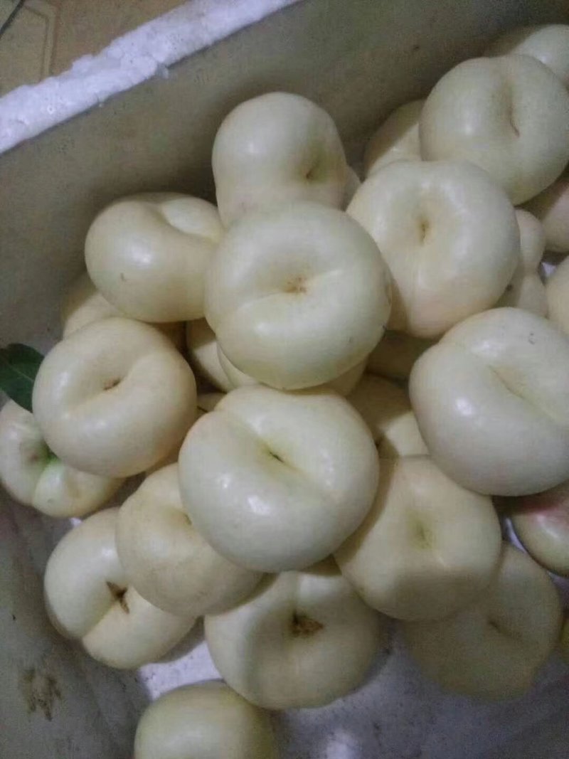 蜜桃白蟠桃油蟠桃蟠桃奶油蟠桃蒙阴蜜桃白桃一件代发