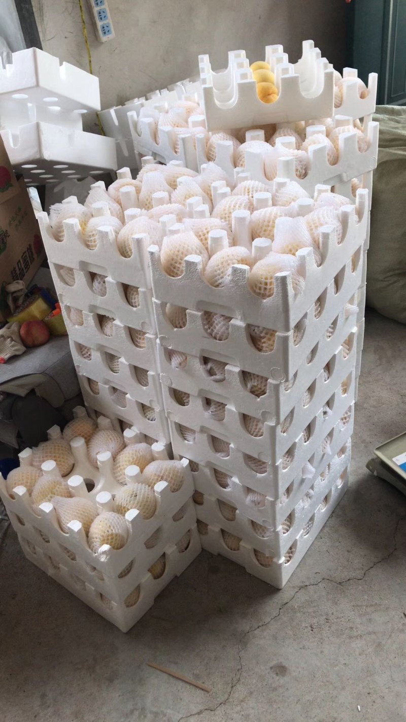 蜜桃白蟠桃油蟠桃蟠桃奶油蟠桃蒙阴蜜桃白桃一件代发