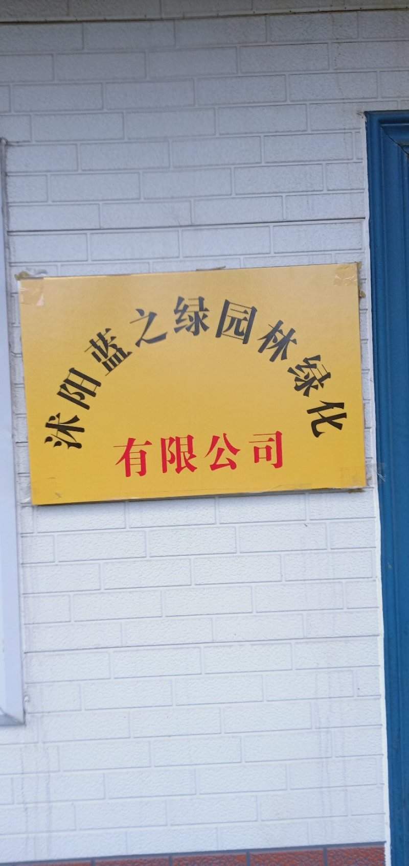绿化树苗，造型树石楠苗，大量有货