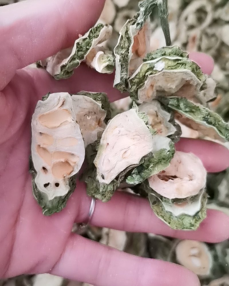苦瓜干茶大量批发零售正品保证质量