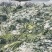 浙江慈溪绍兴梅干菜霉干菜绿色无污染基地直供一包70斤