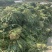 浙江慈溪绍兴梅干菜霉干菜绿色无污染基地直供一包70斤