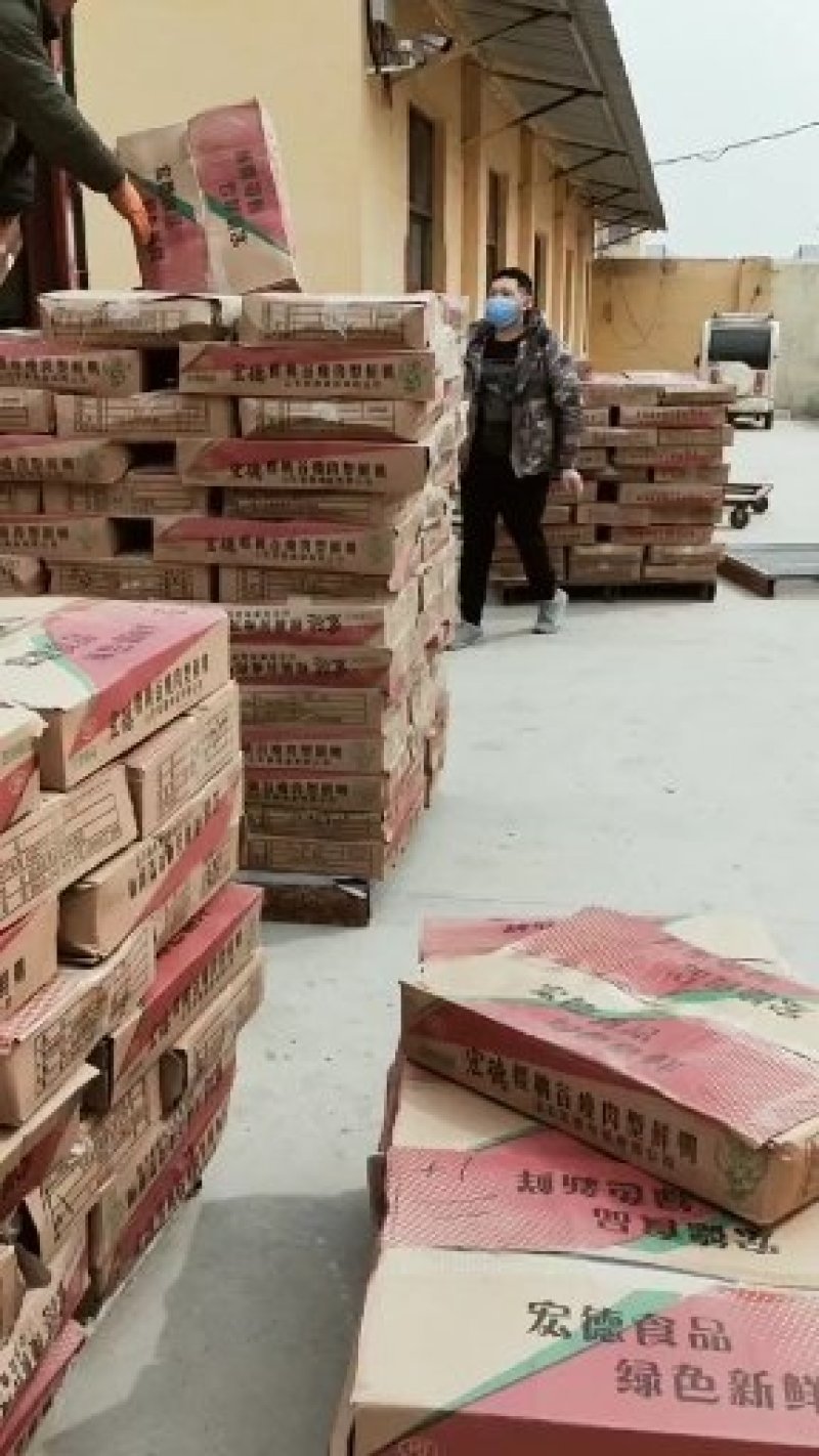 批发规格3斤多白条鸭，价格低，货源充足