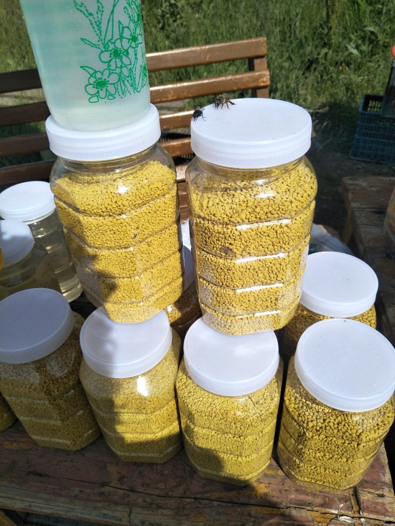 油菜花粉每瓶一斤每斤50元。批发零售，青海省海北州门源县