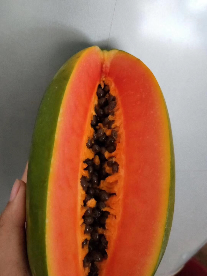 海南木瓜新鲜水果红心木瓜大青非中白非广西雷州木瓜