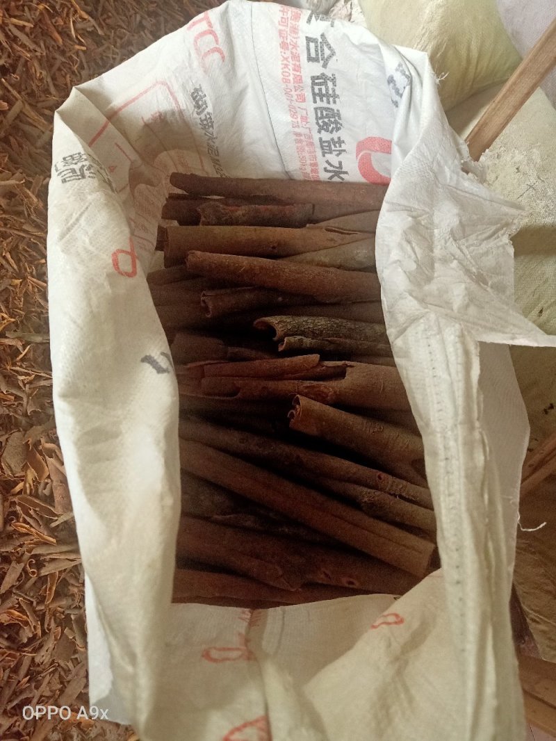 广西桂皮一件代发