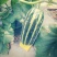 甜
