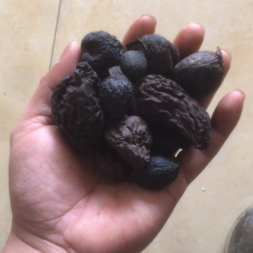 丝线吊金钟（不怕跌得凶，就怕吊金钟）国宝级中药材