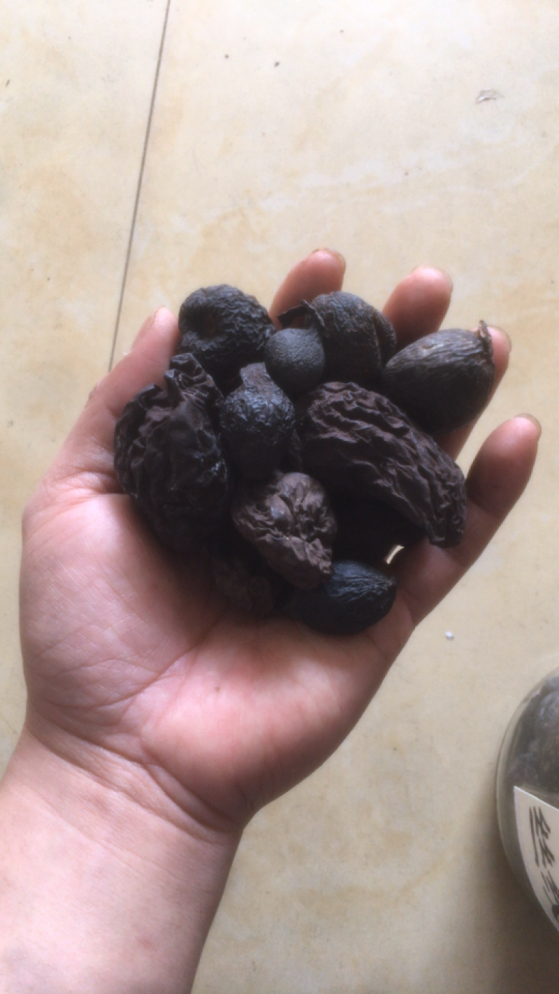 丝线吊金钟（不怕跌得凶，就怕吊金钟）国宝级中药材