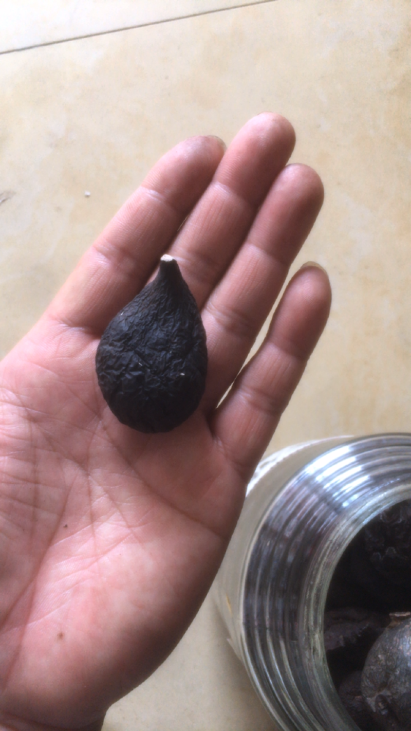 丝线吊金钟（不怕跌得凶，就怕吊金钟）国宝级中药材
