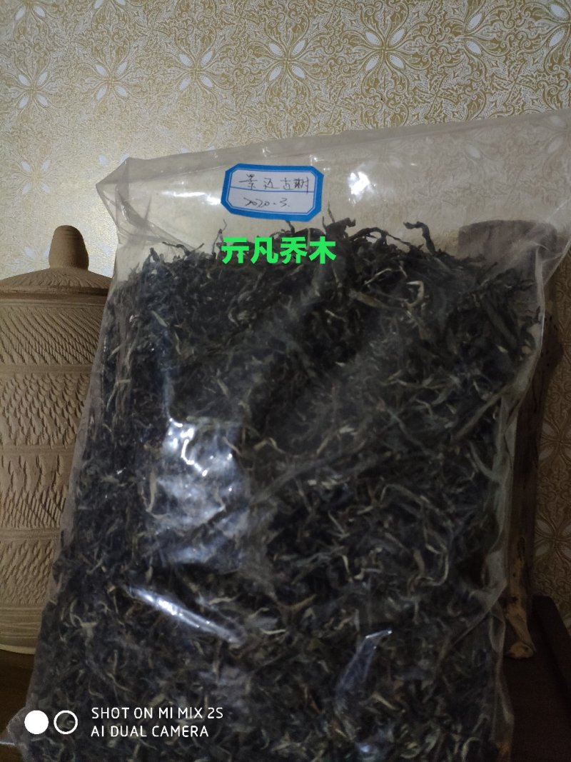 景迈春茶普洱茶，精品茶叶，品质保证，欢迎老板咨询购买