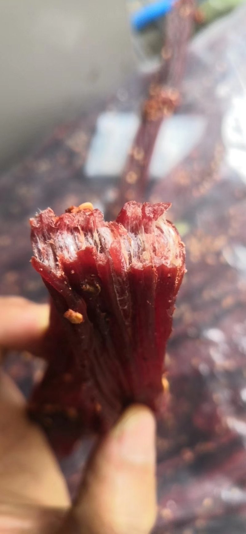 风干牛肉干牛肉条零食展会景点热销一件代发