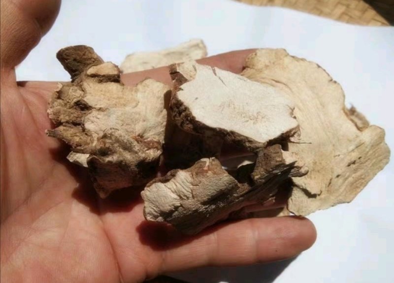 九牛力,产地直供，质优价实，品质保证，药典标准道地良药