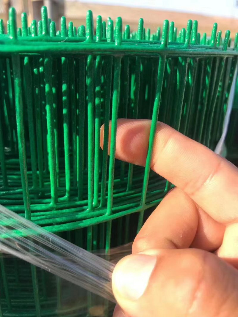 【精选】草绿色小丝荷兰网圈地养殖围栏护栏网@发泡荷兰网厂