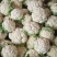 【推荐】白花菜，花白紧实，叶少根小，质优价廉，一手货源
