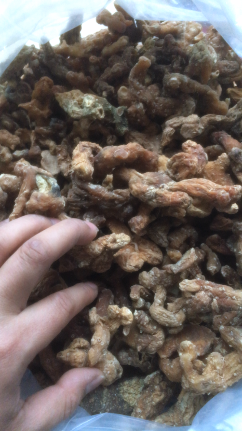 粤北野生黄精