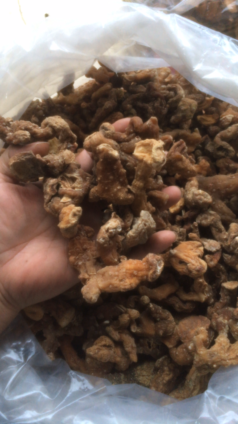 粤北野生黄精