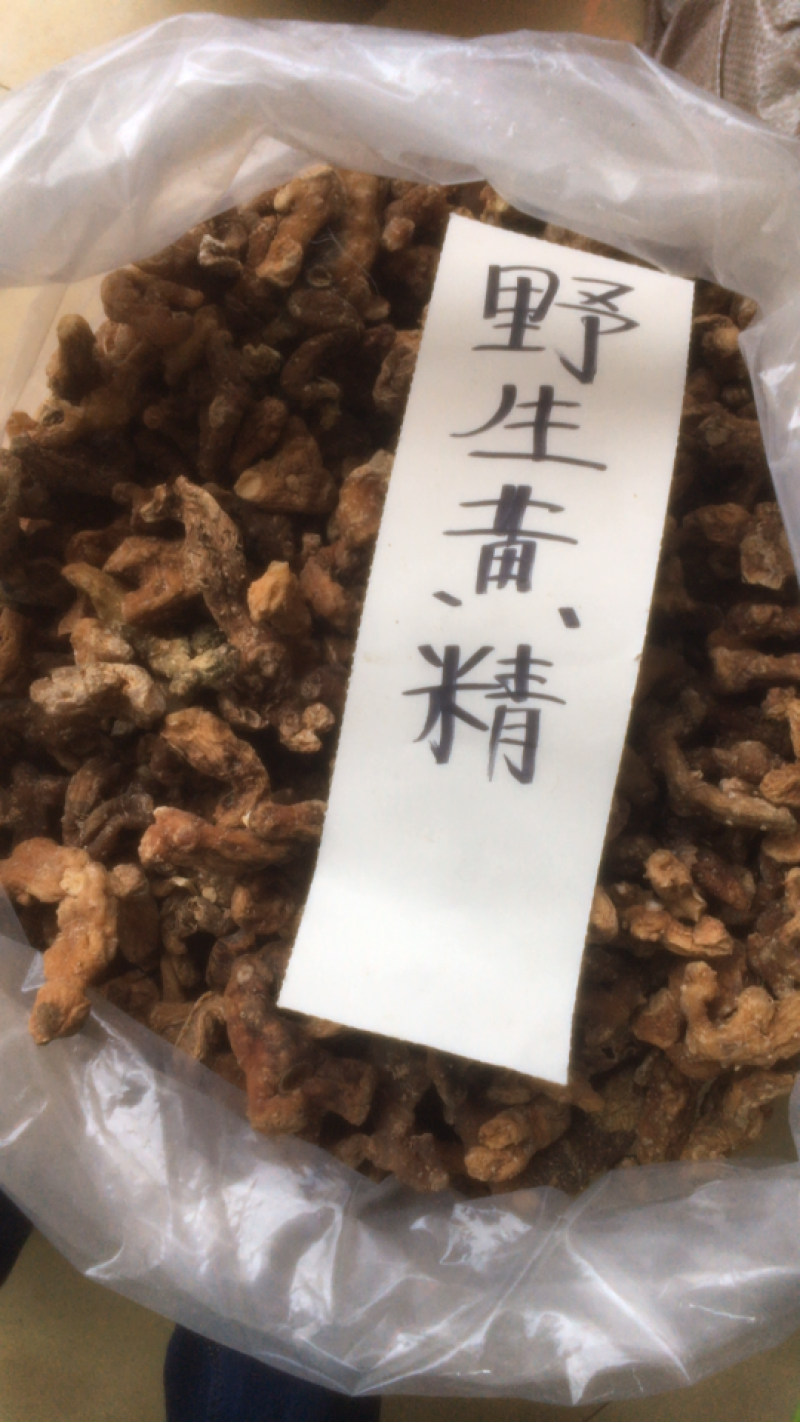 粤北野生黄精