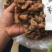 粤北野生黄精