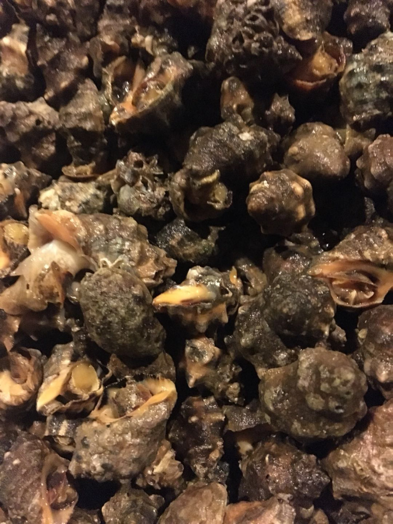 鲜海叁，天然深海海产，物美价廉，鲜甜美味，欢迎选购