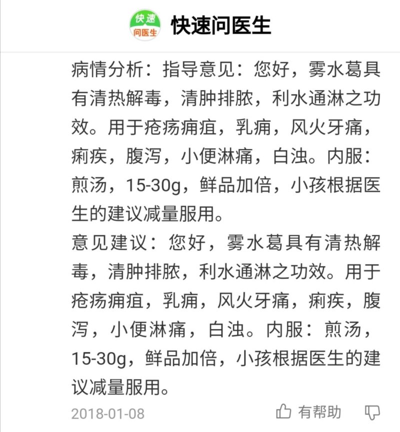 啜脓膏，雾水葛
