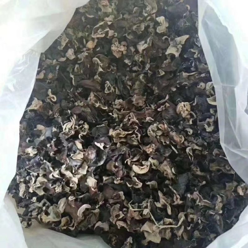 水洗毛木耳大量现货，地摊批发热卖