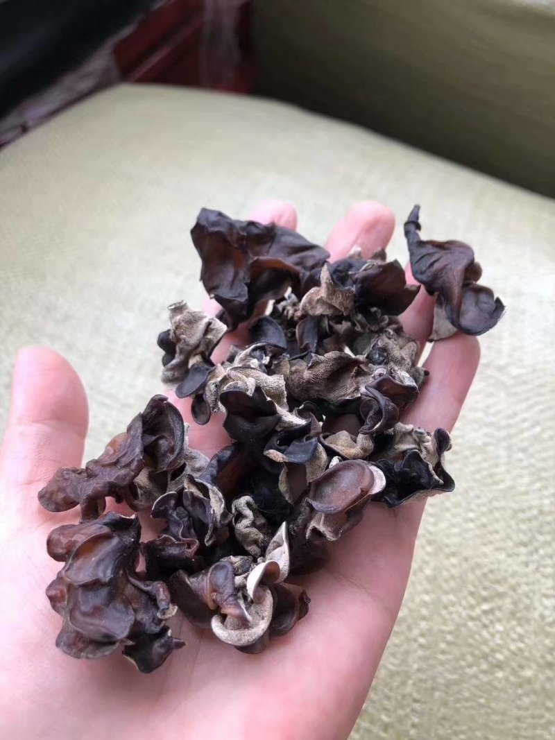 水洗毛木耳大量现货，地摊批发热卖