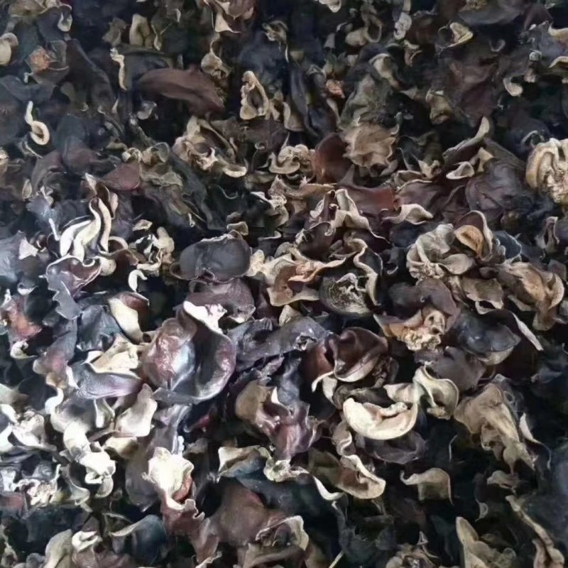 水洗毛木耳大量现货，地摊批发热卖