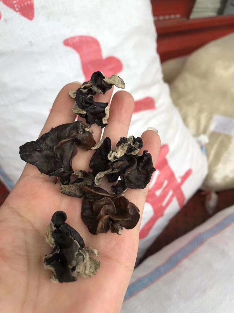 水洗毛木耳大量现货，地摊批发热卖