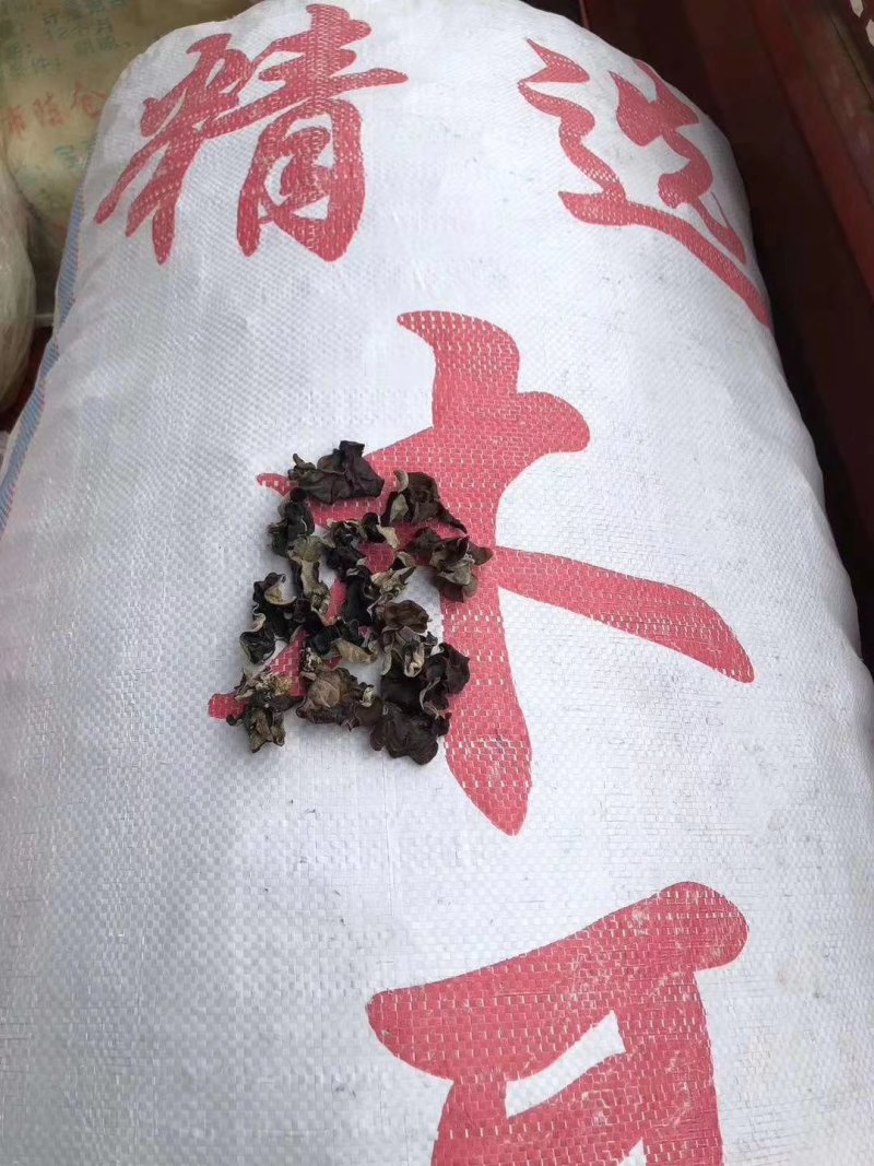 水洗毛木耳大量现货，地摊批发热卖