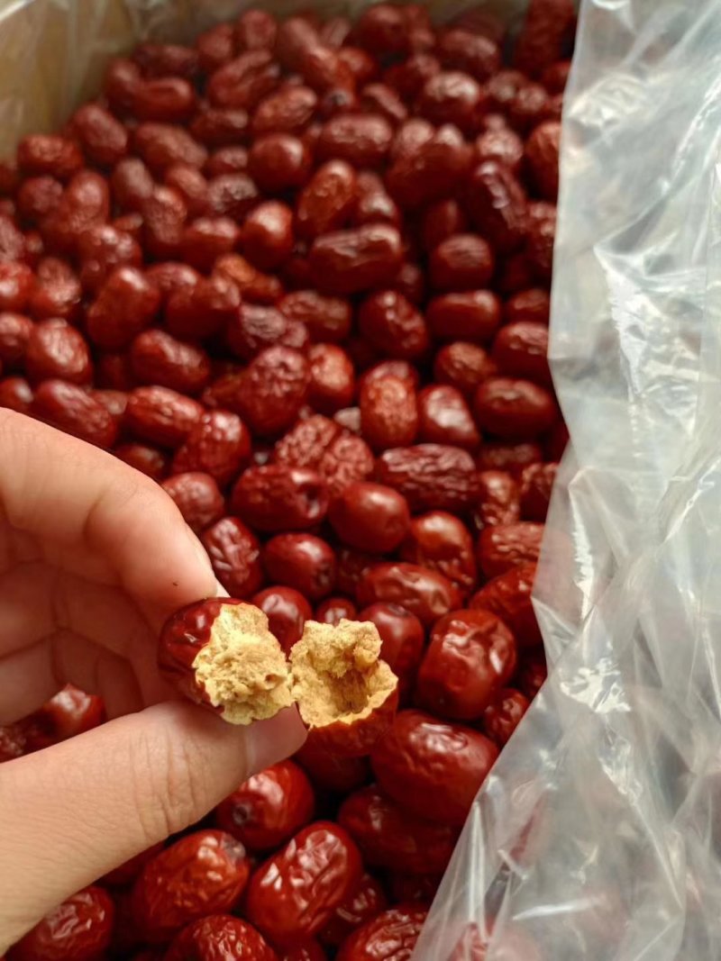 云南芜湖灰枣跑江湖火爆产品