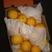 进口橙子5斤埃及橙南非橙榨汁商用原料轻微花皮介意慎拍