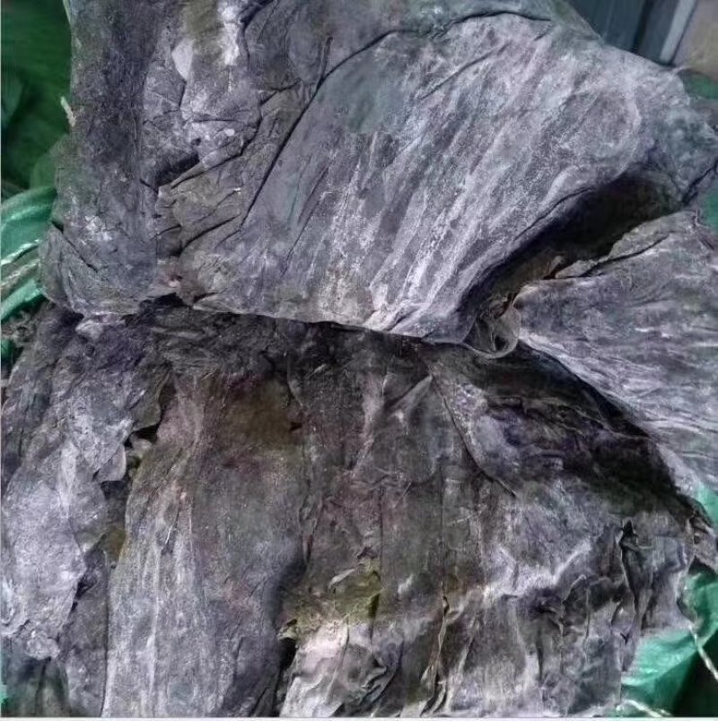 海带皮，地摊热卖产品，跑摊好产品