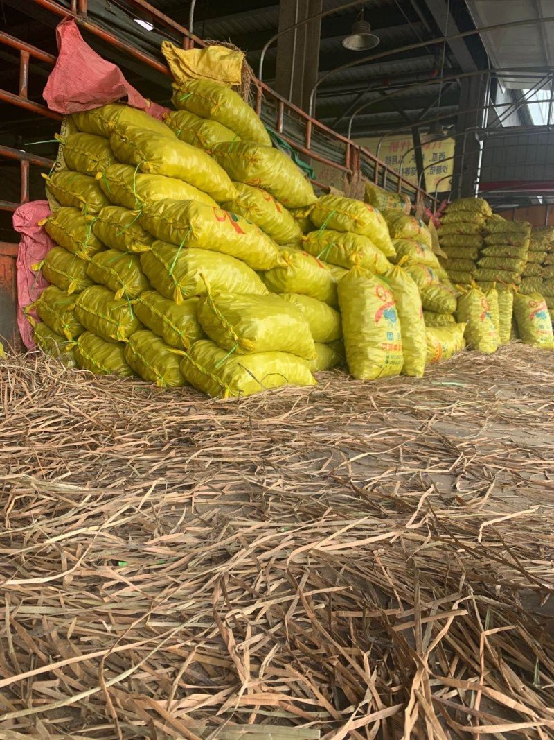 马蹄新鲜马蹄茨菇马蹄农家采摘一手货源地摊热卖跑江湖产品