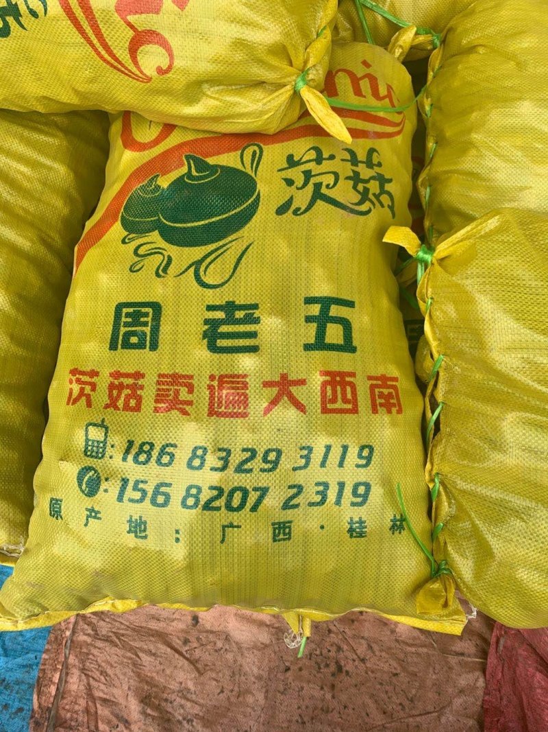 马蹄新鲜马蹄茨菇马蹄农家采摘一手货源地摊热卖跑江湖产品