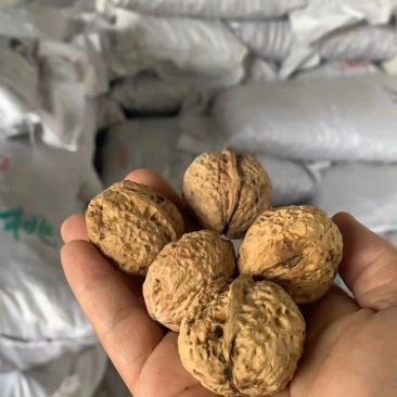 云南麻子核桃地摊热卖暴利产品，地摊火爆热卖资源