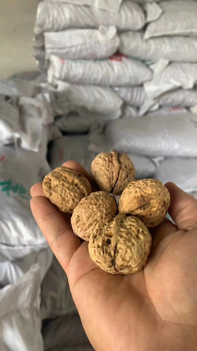 云南麻子核桃地摊热卖暴利产品，地摊火爆热卖资源