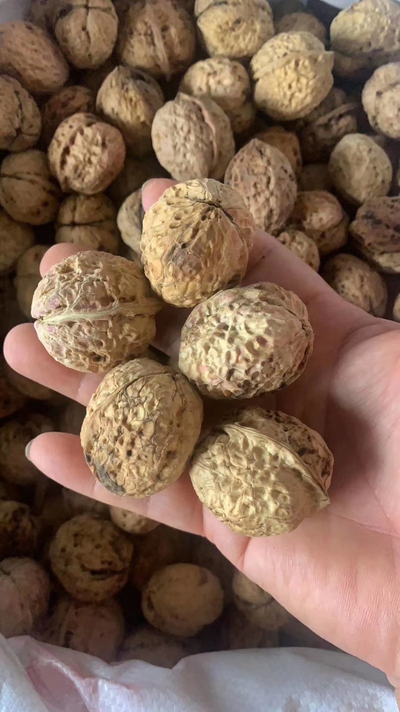 云南麻子核桃地摊热卖暴利产品，地摊火爆热卖资源