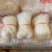 豌豆粉丝，地摊跑江湖热卖产品，地摊跑量热卖资源