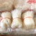 豌豆粉丝，地摊跑江湖热卖产品，地摊跑量热卖资源
