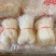 豌豆粉丝，地摊跑江湖热卖产品，地摊跑量热卖资源
