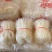 豌豆粉丝，地摊跑江湖热卖产品，地摊跑量热卖资源