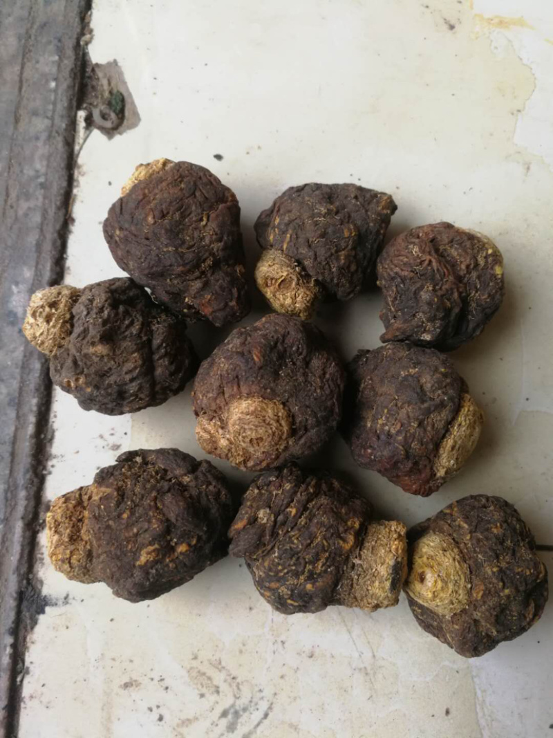 玛咖片玛卡片产地直销量大从优