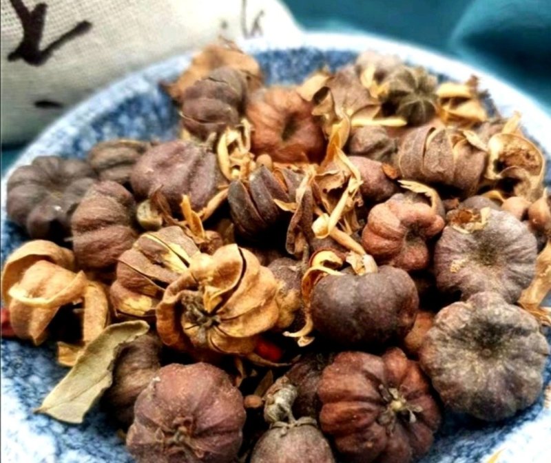 算盘子.道地药材，质优价实，品质保证，药典标准一公斤起批