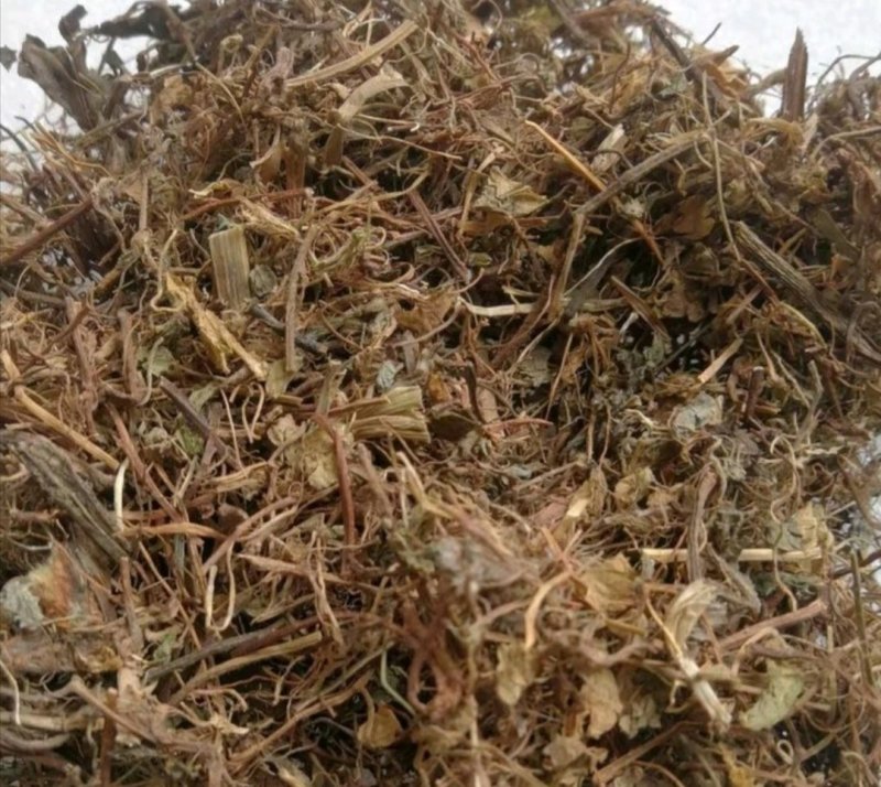 酸浆草，道地药材，质优价实，品质保证，药典标准一公斤起批