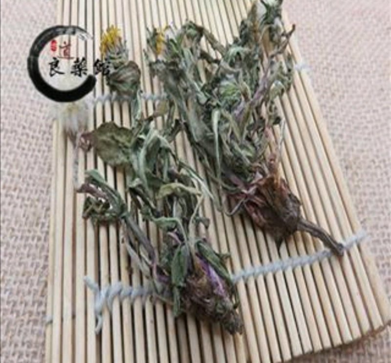 蒲公英，产地四川，产地直供道地药材，无硫磺***剂